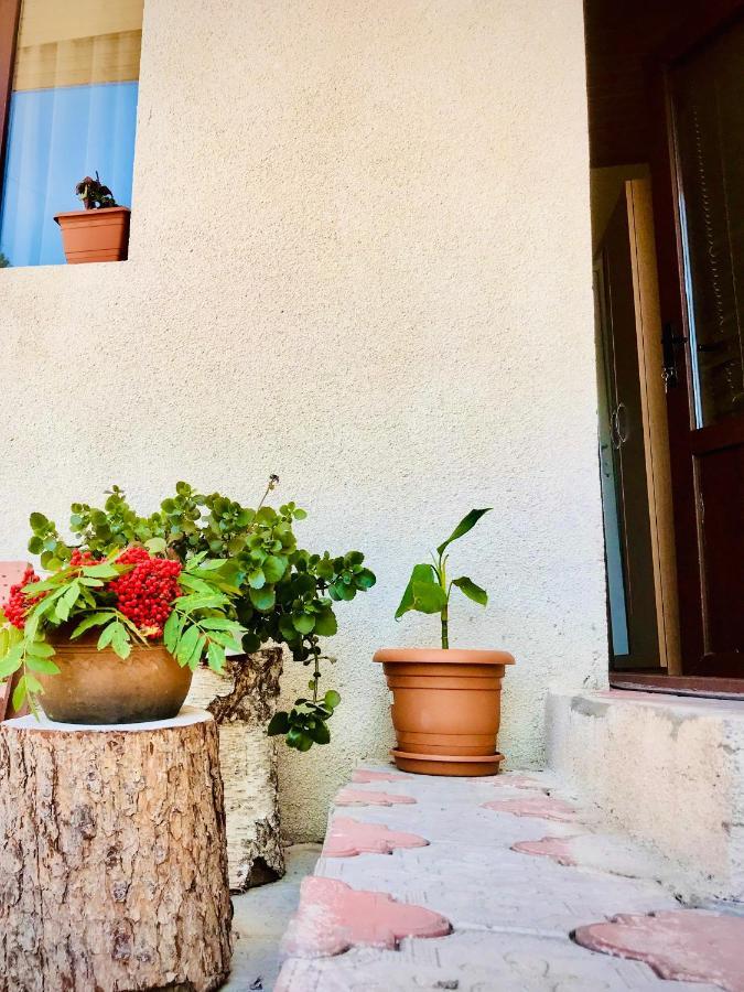 Guesthouse And Cottage Nicolo Kazbegi Ngoại thất bức ảnh